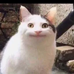 DonutDev's Avatar