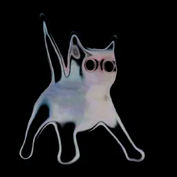 adamperkowski's Avatar
