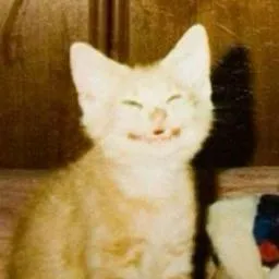 rithikasilva's Avatar