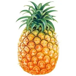 ruiiiijiiiiang's Avatar