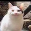DonutDev's Avatar